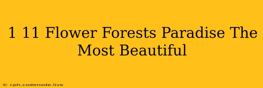 1 11 Flower Forests Paradise The Most Beautiful