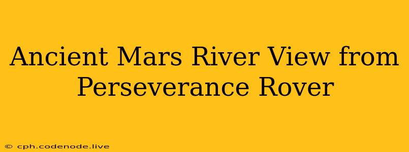 Ancient Mars River View from Perseverance Rover