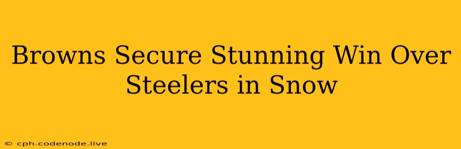 Browns Secure Stunning Win Over Steelers in Snow
