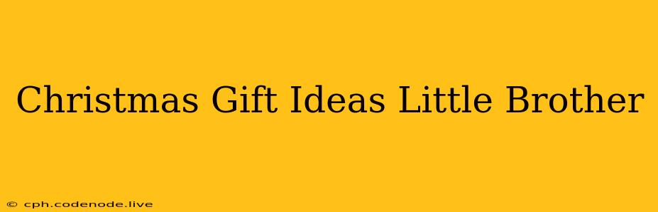 Christmas Gift Ideas Little Brother