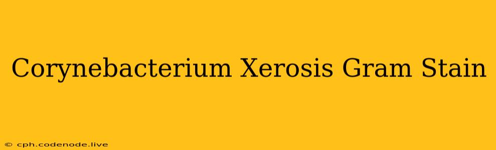 Corynebacterium Xerosis Gram Stain