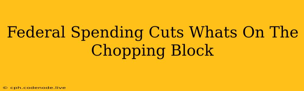 Federal Spending Cuts Whats On The Chopping Block