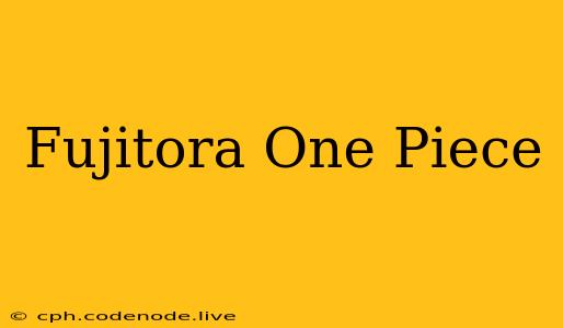 Fujitora One Piece