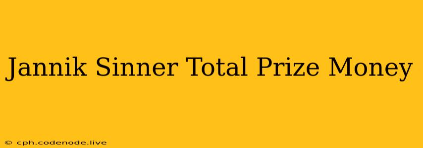 Jannik Sinner Total Prize Money