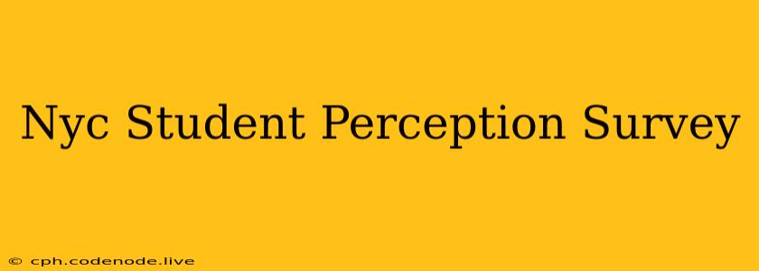 Nyc Student Perception Survey