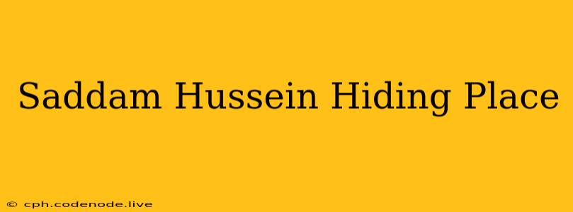 Saddam Hussein Hiding Place
