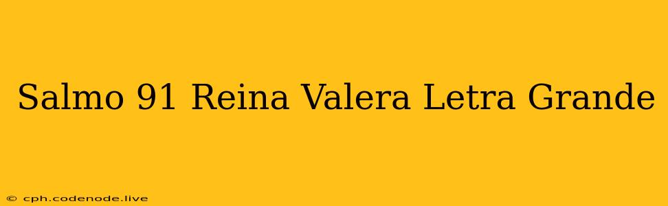 Salmo 91 Reina Valera Letra Grande