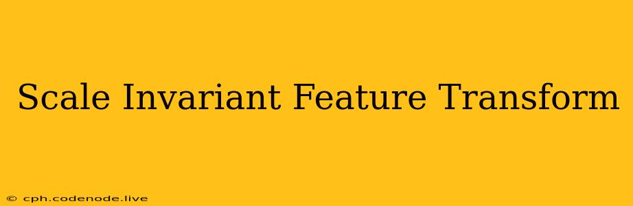 Scale Invariant Feature Transform