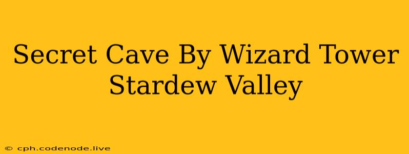 Secret Cave By Wizard Tower Stardew Valley