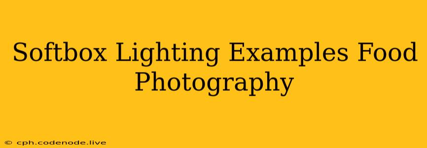 Softbox Lighting Examples Food Photography
