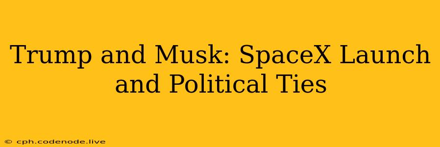 Trump and Musk: SpaceX Launch and Political Ties
