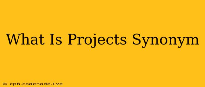 What Is Projects Synonym