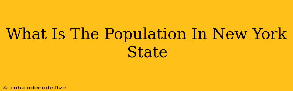 What Is The Population In New York State