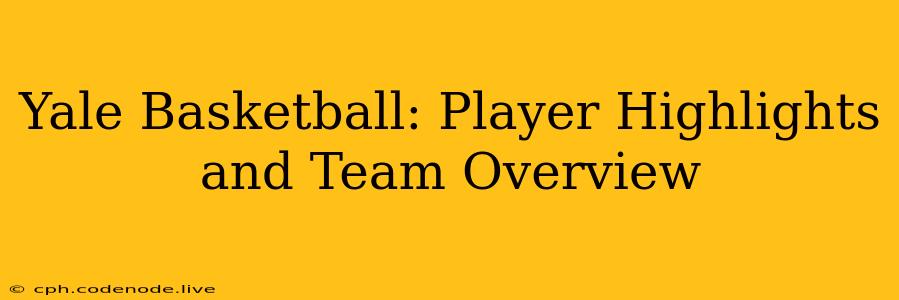 Yale Basketball: Player Highlights and Team Overview